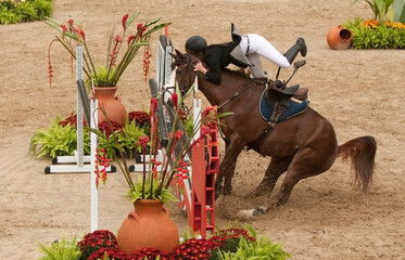 Rider falling down from a horse jumping on a tournament. 