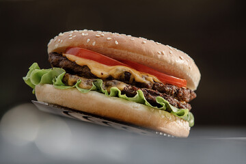 Homemade cheeseburger. Can be used for restaurant, cafe, food truck menu. Burger for ads. Burger for bigboard. Cheeseburger with 2 meat. Fast food. Burger for food post. Close up cheeseburger. 