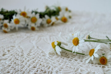 A bouquet of daisies on a background of a woven wreath on a white lace napkin