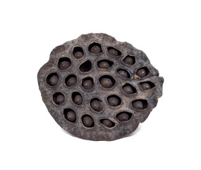 Dry lotus white background