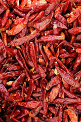 dried red chili peppers