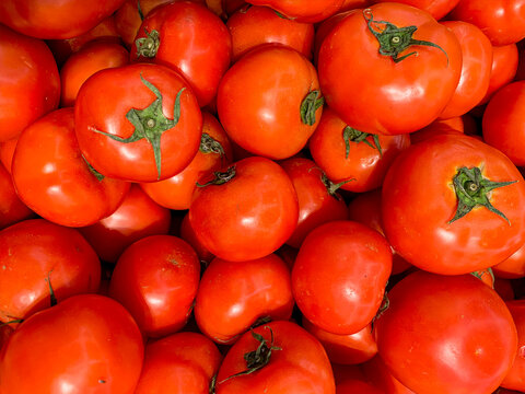 Full frame photo of perfect ripe red tomatoes for background