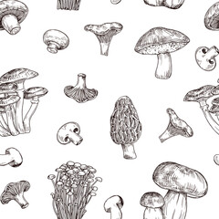 Mushrooms hand drawn vector seamless pattern. Sketch food drawing isolated on white background.