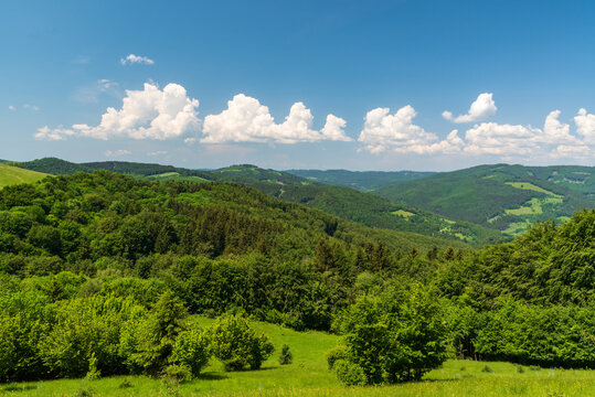 Biele Bilder Durchsuchen 260 Archivfotos, und Videos