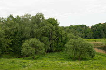 Obraz premium Park and a small pond in the summer in the city. Minsk, Republic of Belarus. Chizhovka.