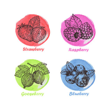Hand drawn illustration with strawberry, raspberry, gooseberry and blueberry. Vintage watercolor background. 
