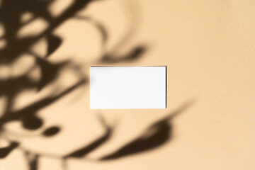 Blank white businesscard on beige background with creative floral shadow