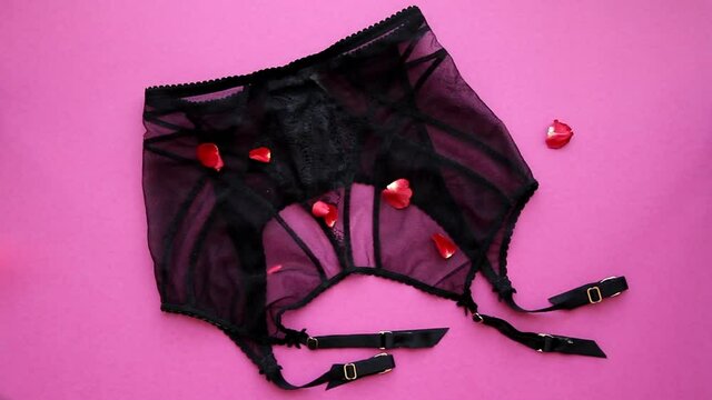 Sexy feminine and glamour belt for stockings on pink background top view. Red rose petals gently pour in on belt for stockings. Concept of exhibitionism
