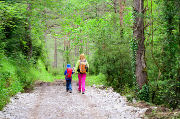 Fototapeta premium Woman and son walking along a path in the woods on the mountain