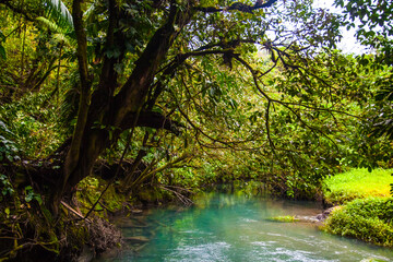 Celestial blue waterfall and pond in volcan Tenorio national park, Costa Rica