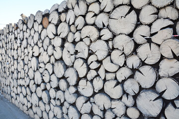 Wall from logs. Round light cuts with cracks. The original design and texture.