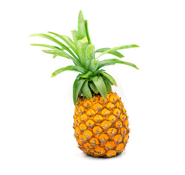 Fresh Pineapple fruit on white background. Whole pineapple with green leaves studio photo