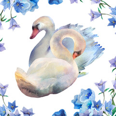 watercolor pair of swans