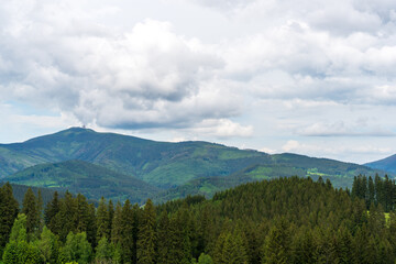 Beautiful pine trees on background high mountains. Beskydy Lysa hora czech