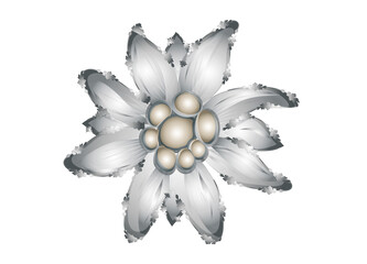 Trachten Stil Antik Silber Alpen-Edelweiß Brosche