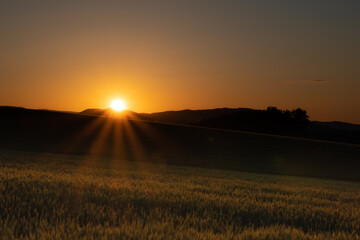6月の落陽に照らされる美瑛麦畑