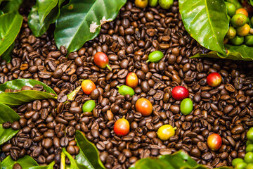 Texture of coffee beans and coffee berries