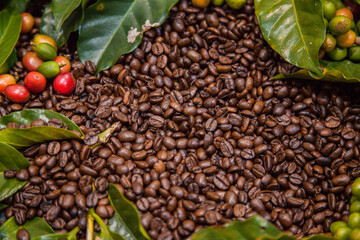 Texture of coffee beans and coffee berries