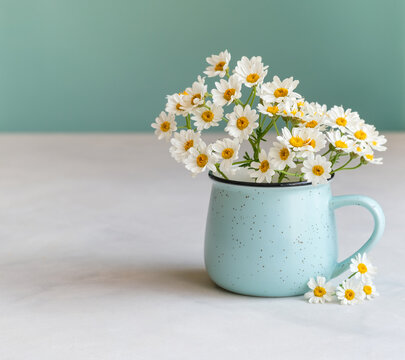 Daisy flowers in a blue cup. Summertime season. Copy space