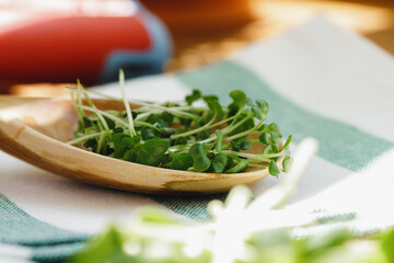 Micro greens in wooden spoon on cotton napkin