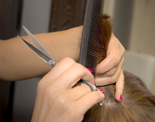Hairdresser cuts short hair in hairdresser salon