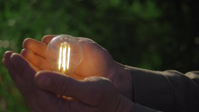 idea solar energy in nature, hand holding light bulb. Eco energy saving, alternative solar energy, renewable resources, electricity. hand holding light bulb. innovation and inspiration