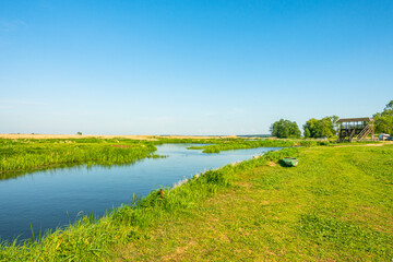 Narew Podlasie Podlaskie Narwiański Park Narodowy  Rzeka woda trzcina trawa