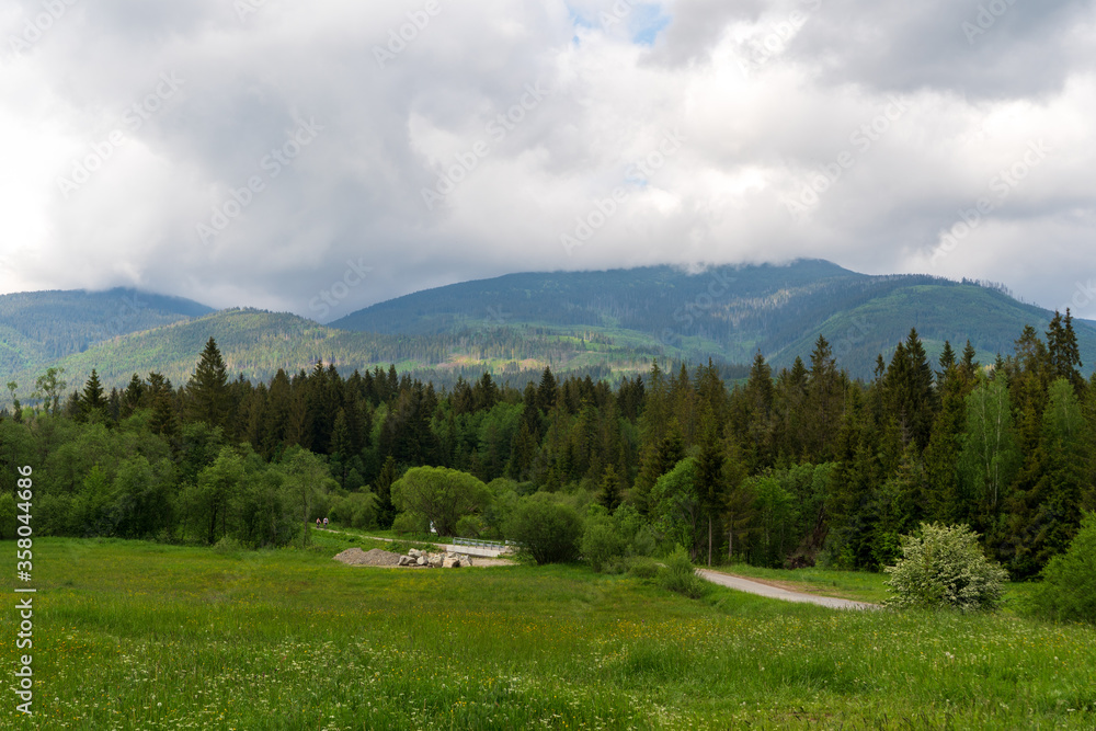 Wall mural Green meadow in mountain and blue cloud sky. Composition of nature. Spring meadow. Composition of nature. Slovakia