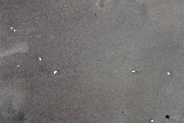 Gray background, texture of wet coastal sand.