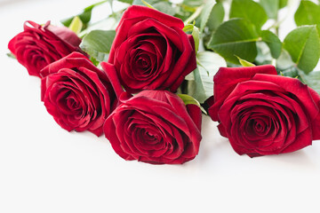 bouquet of red roses, red roses on a white background, bouquet of roses