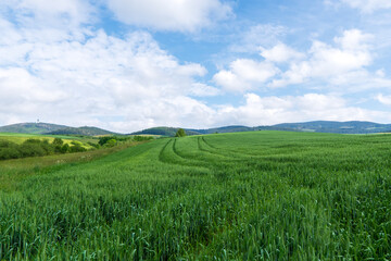 Fototapeta premium Green meadow in mountain and blue cloud sky. Composition of nature. Spring meadow. Composition of nature. Slovakia