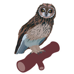 owl bird sitting on a branch, isolated object on a white background, vector illustration,