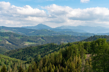 Aerial view of green pine trees in high mountains landscape Beskydy fatra slovakia Rozsutec