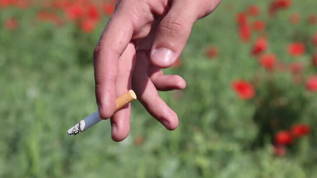 Smoking cigarette in hand. Smoking kills.