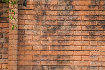 Background of an old brick wall.