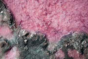 View of the pink Lemur Lake on the Arabat Spit in Ukraine. Unique pond with Dunaliella Salina algae, salt crystals and healing mud. Dead Sea analogue