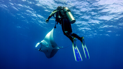 Diver admiring the flight of a giant manta ray in the blue. Isla Socorro. Mexico.