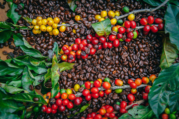 Texture of coffee beans and coffee berries.