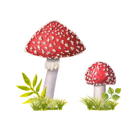 Two watercolor redcap fly agarics on green grass. Hand-drawn poisonous mushrooms with dots on red caps and ring on grey stipe isolated on white. Dangerous amanita muscaria grows in woods and forests. 