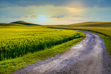 Gorgeous greens in the landscape and with light painted.