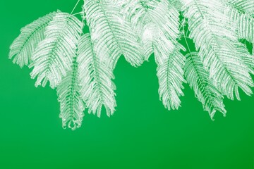 White palm leaves on green background. Minimal concept. Copy space