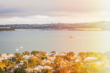 Obraz premium Glowing evening over Auckland Harbour and Devonport suburb of Auckland