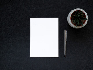 blank white paper, a pen and a plant in flowerpot on black background. Copy space. concept of...