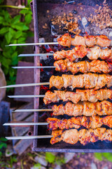 Shish kebab on the grill with coals.