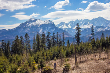Breathtaking view on High Tatry mountains with snowy peaks and green spruce and pine forest on foreground, High Tatras near Zakopane, Poland. Travel and vacation concept. Love mountains