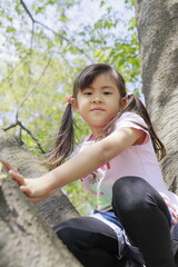木登りをする幼児(5歳児)