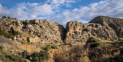 Fototapeta premium dry grass in the mountains
