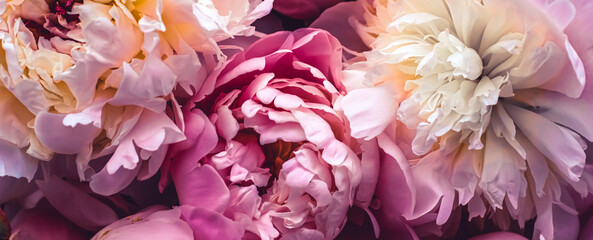 Pink peony flowers as floral art background, botanical flatlay and luxury branding design © Studio ANNA