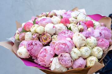 Huge bouquet with pink and white peonies held by a girl florist. 