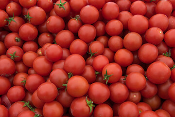 fresh red tomato.